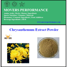 100% Natural High Quality Chrysanthemum Extract Powder